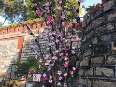 -胡里山炮台