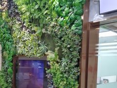 -深圳雅呗德口腔门诊部(坪山店)