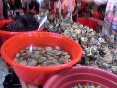 iphone_upload_pic-D'Talipapa