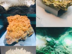 -湖南省地质博物馆