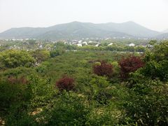 -香雪海