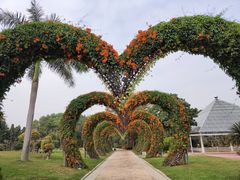 -东南花都花博园
