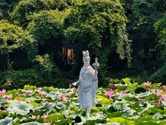 -青龙山国家森林公园