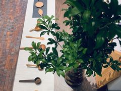 -boundaries籬苑(瑞光创意工厂-贰号院店)