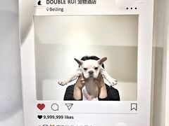 -Double Rui宠物酒店