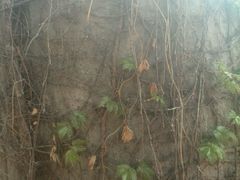 -环球国际影城(天鸿广场LUXE巨幕店)