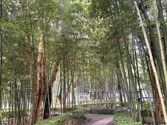 -兰亭风景区