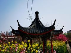-南汇桃花村