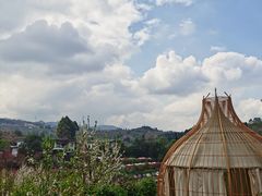 -玫瑰庄园·自助烧烤·烤全羊·团建拓展(龙泉山店)
