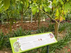 -歌斐颂巧克力小镇