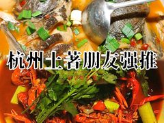 -千岛湖小鱼儿·淳安匠心农家菜