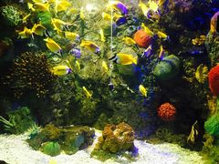 -洛阳龙门海洋馆