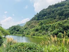 -九龙湖公园