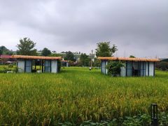 -洪湖家庭农场·团建·露营·会议