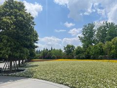 -上海市龙华烈士陵园