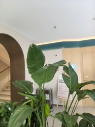 -LIHER北京丽合医疗美容医院