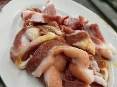 羊肋条-鞍山戰
