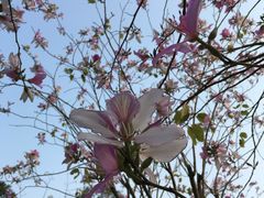 -火炉山森林公园