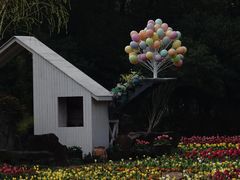 -上海鲜花港