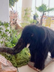 -IMON·HANSA潮玩玩偶毛绒玩具(通州万象汇店)