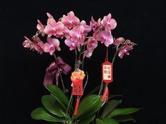 -成都银泰城