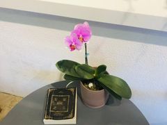 -LAB COFFEE来杯咖啡(浦仓路店)