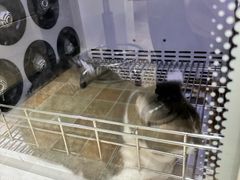 -宠颐生汉谟拉比宠物医院