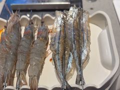 -丰茂烤串(公园店)