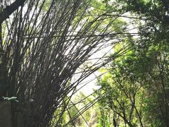 -广州市白云山风景名胜区
