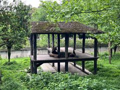 -中国大熊猫保护研究中心雅安碧峰峡基地