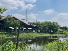 -西湖风景区-江洋畈生态公园