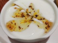 桂花酸奶-ICEPOPO MILK(玖洲道店)
