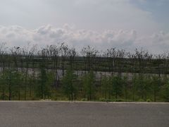 -南汇嘴观海公园