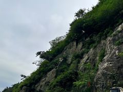 -泰山风景名胜区