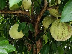 -寒岩夕照农家乐