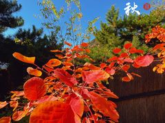 -云峰山自然风景区