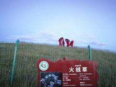 -黄河九曲第一湾
