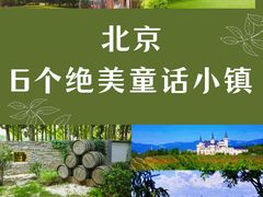 -北京张裕爱斐堡酒庄