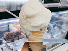 -野人先生现做冰淇淋(西安赛格店)
