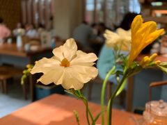 -天水蔬食料理(树德之光店)