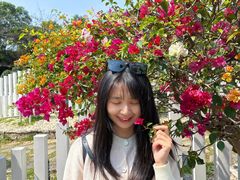 -东莞植物园