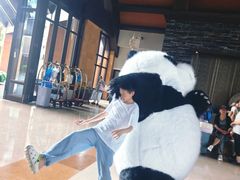 -三亚湾海居雅高铂尔曼度假酒店
