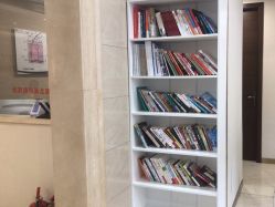 -碧莲盛·不剃发植发