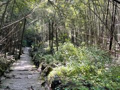-会稽山峡洞漂流-上青古道
