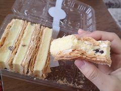 拿破仑-幸福鸟动物奶油生日蛋糕(军校店)