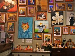 -猫咪博物馆(顶澳仔猫街店)