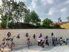 -白石龙音乐公园