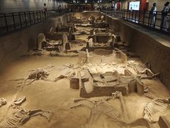 -洛阳周王城天子驾六博物馆