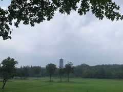 -宜兴龙背山森林公园