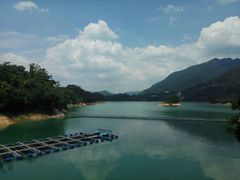 -广州市流溪河国家森林公园